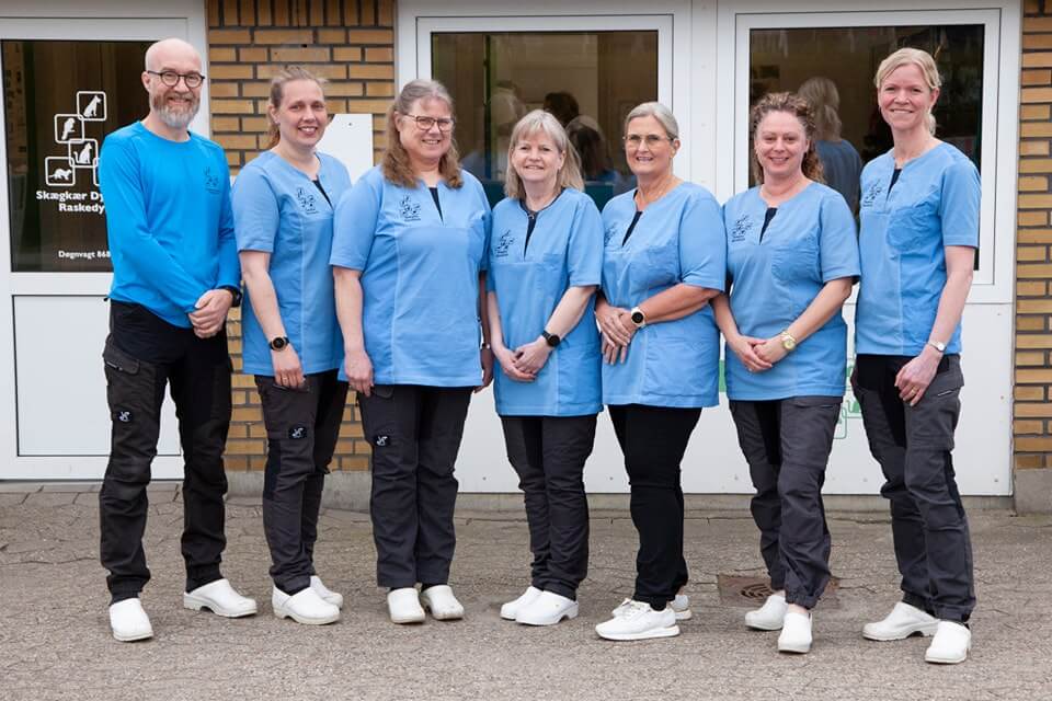 Team billede skægkær dyreklinik