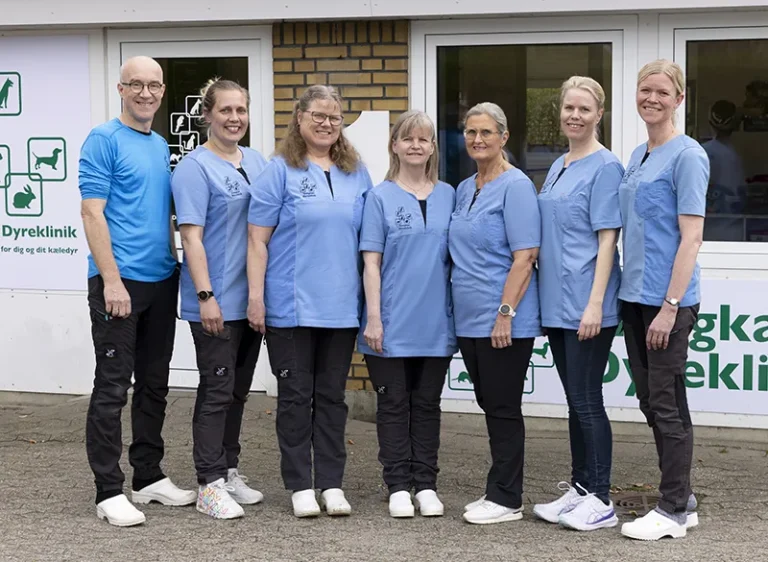 Skægkær team 2025 bg